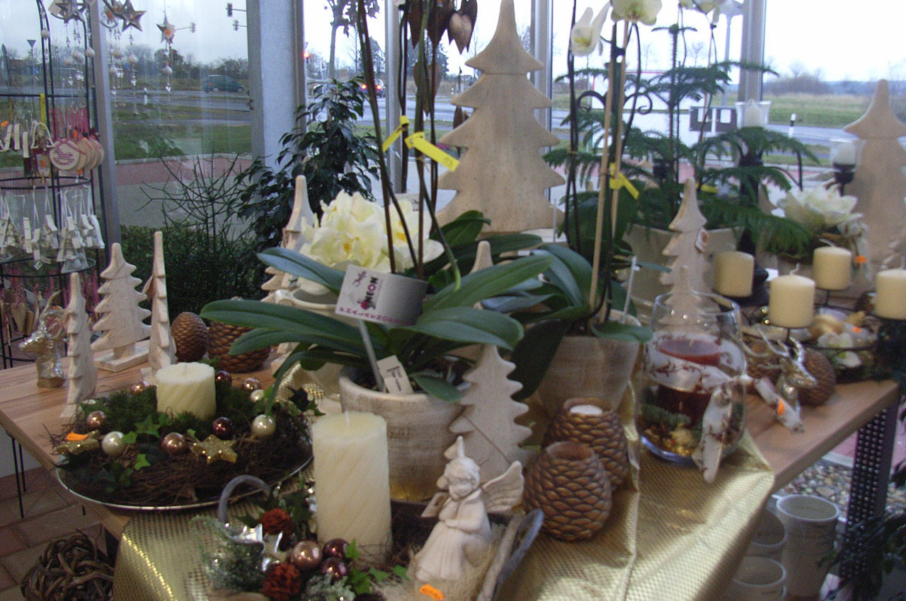 Gärtnerei Schliephake - Advent und Weihnachten
