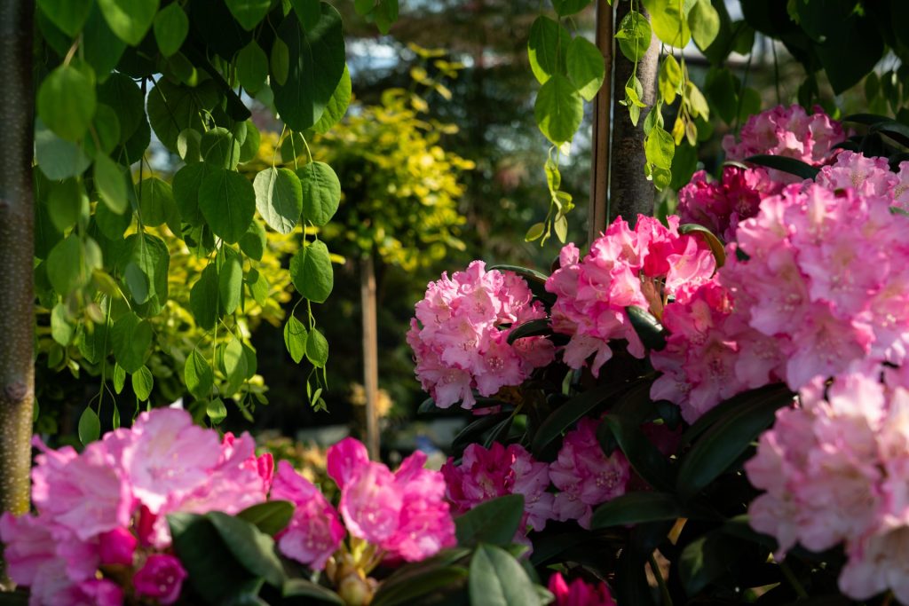 Bunte Blumen und grüne Blätter